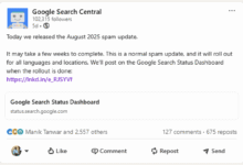 Google Spam Update August 2025